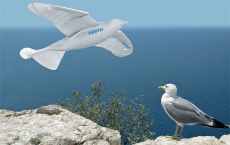 Bionic and Traditional Seagull