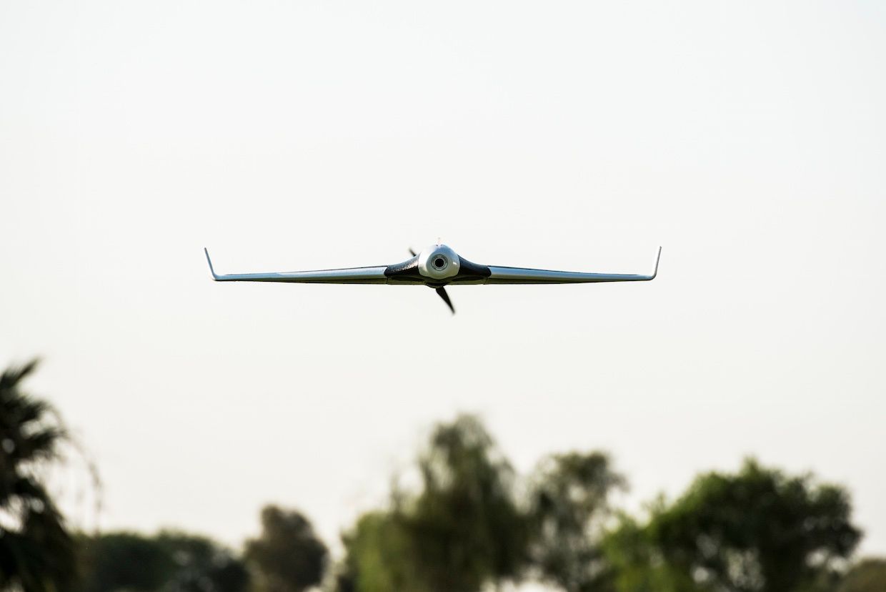 Parrot Disco drone flying