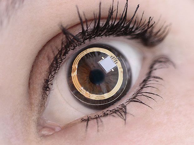 Smart Contact Lenses and Eye Implants Will Give Doctors Medical Insights -  IEEE Spectrum