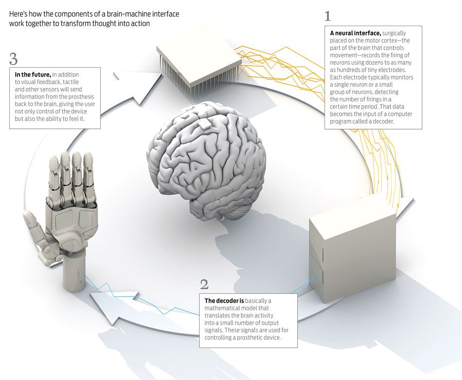 Brain to machine interface - How to Control a Prosthesis With Your Mind