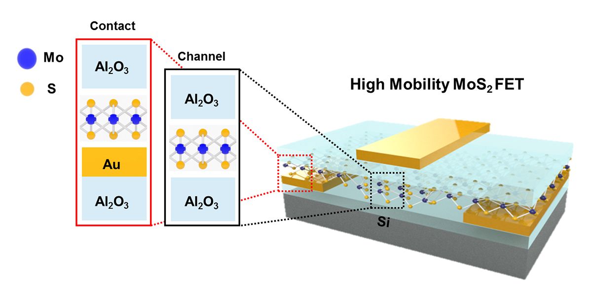 Schematic of high-mobility MoS2 TFT using an Al2O3 passivation layer.