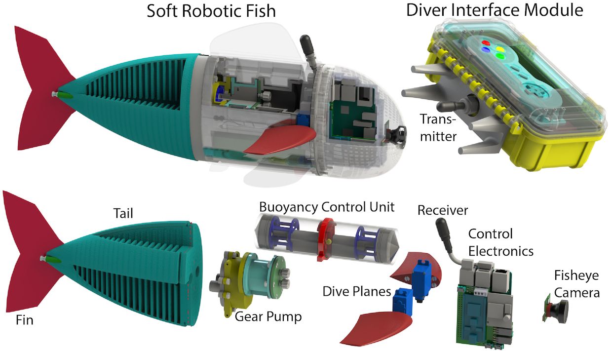 MIT's Soft Robotic Fish Explores Reefs in Fiji