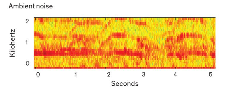 Spectrogram 2
