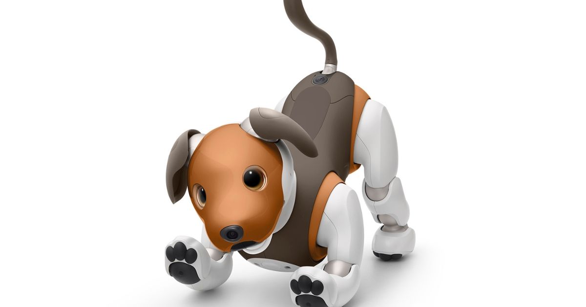 aibo dog 2019