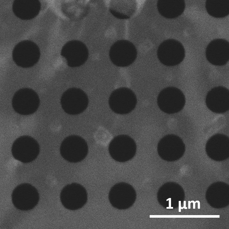 SEM image of the waveguide structure