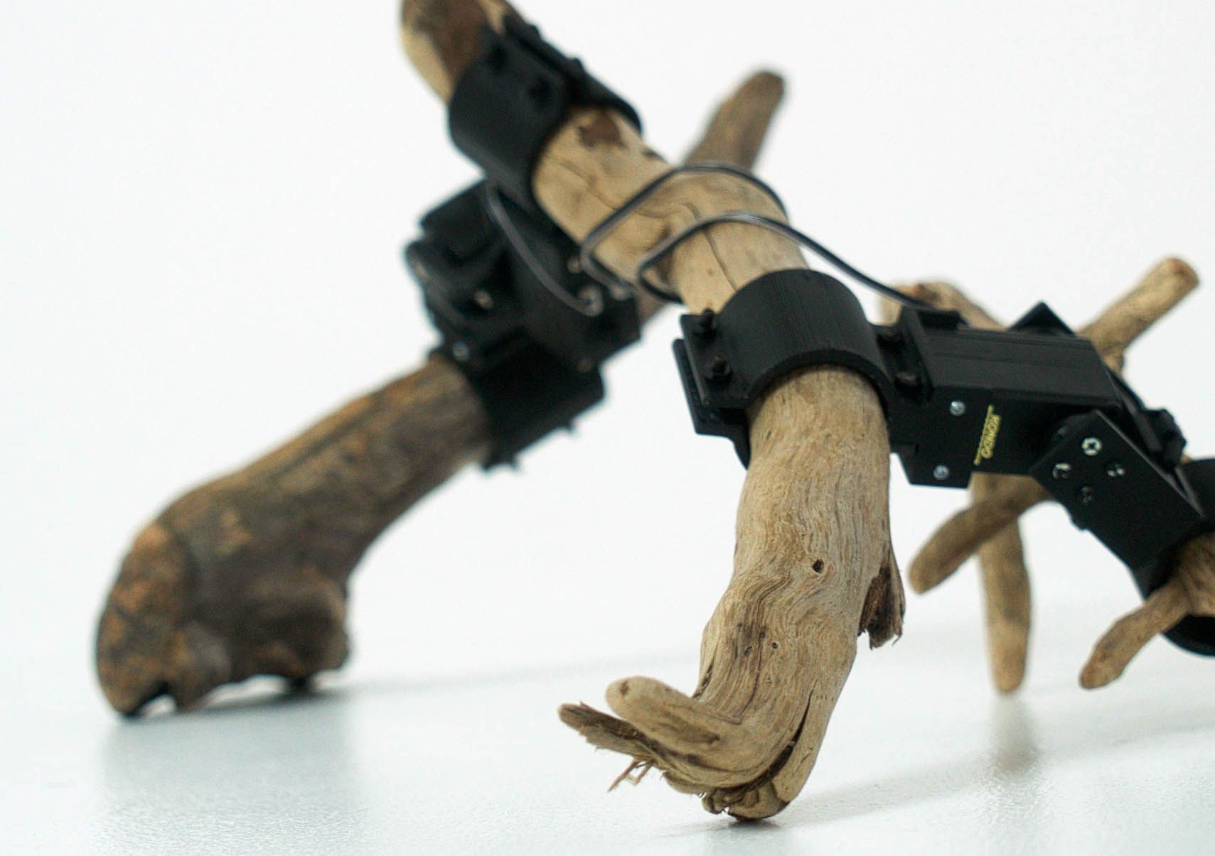 Robots Made Out of Branches Use Deep Learning to Walk