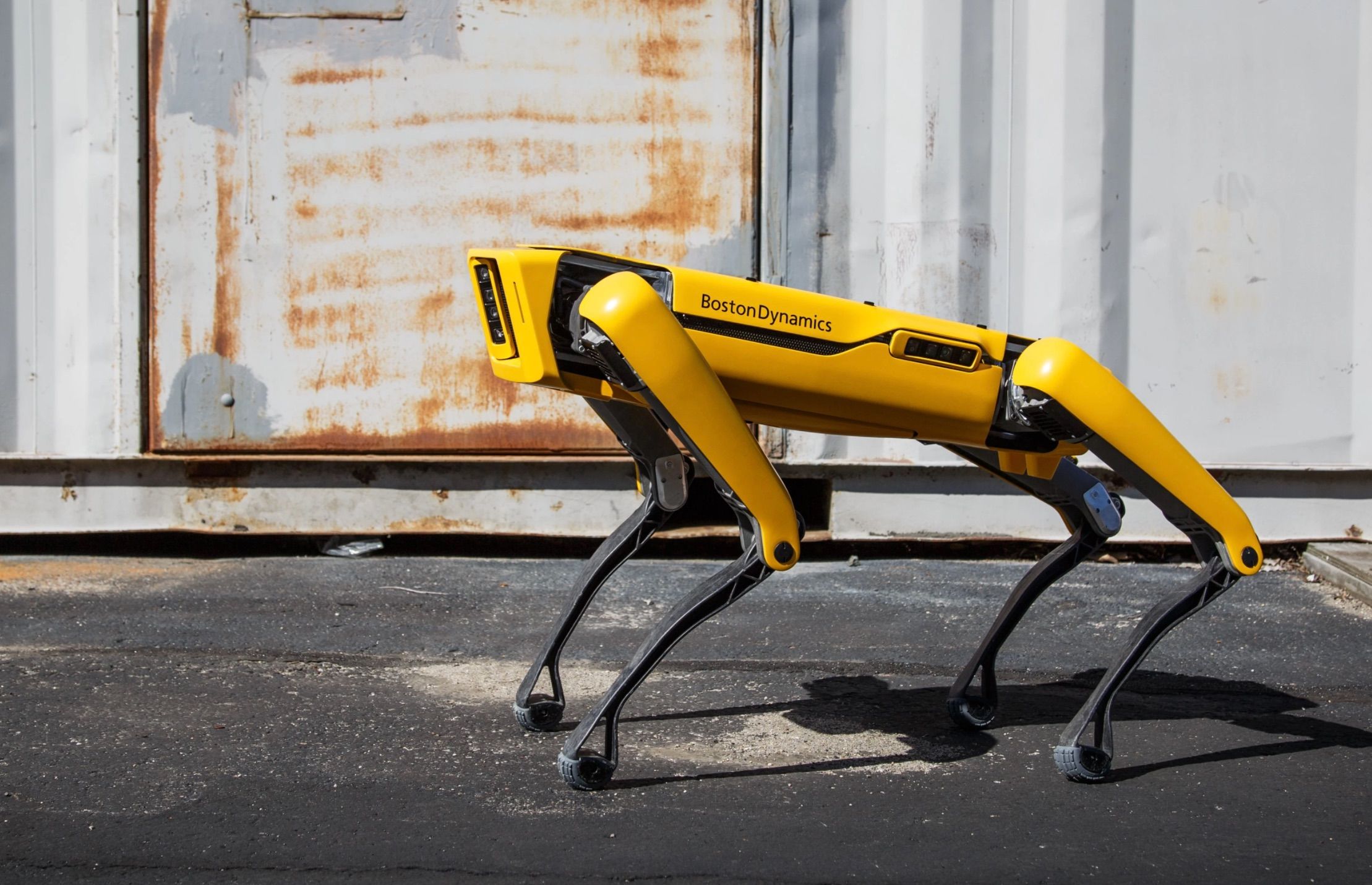 Boston Dynamics Spot robot dog