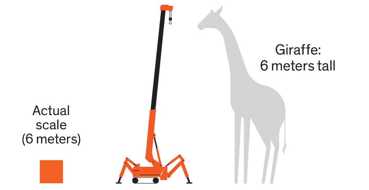 Illustration of a giraffe and a crane,