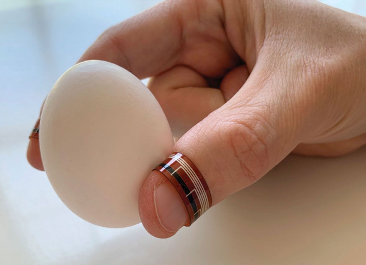 Photo of a hand holding an egg. 