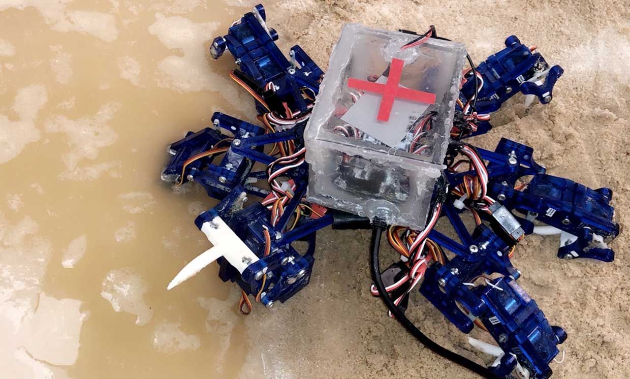 Foto de un cangrejo robot