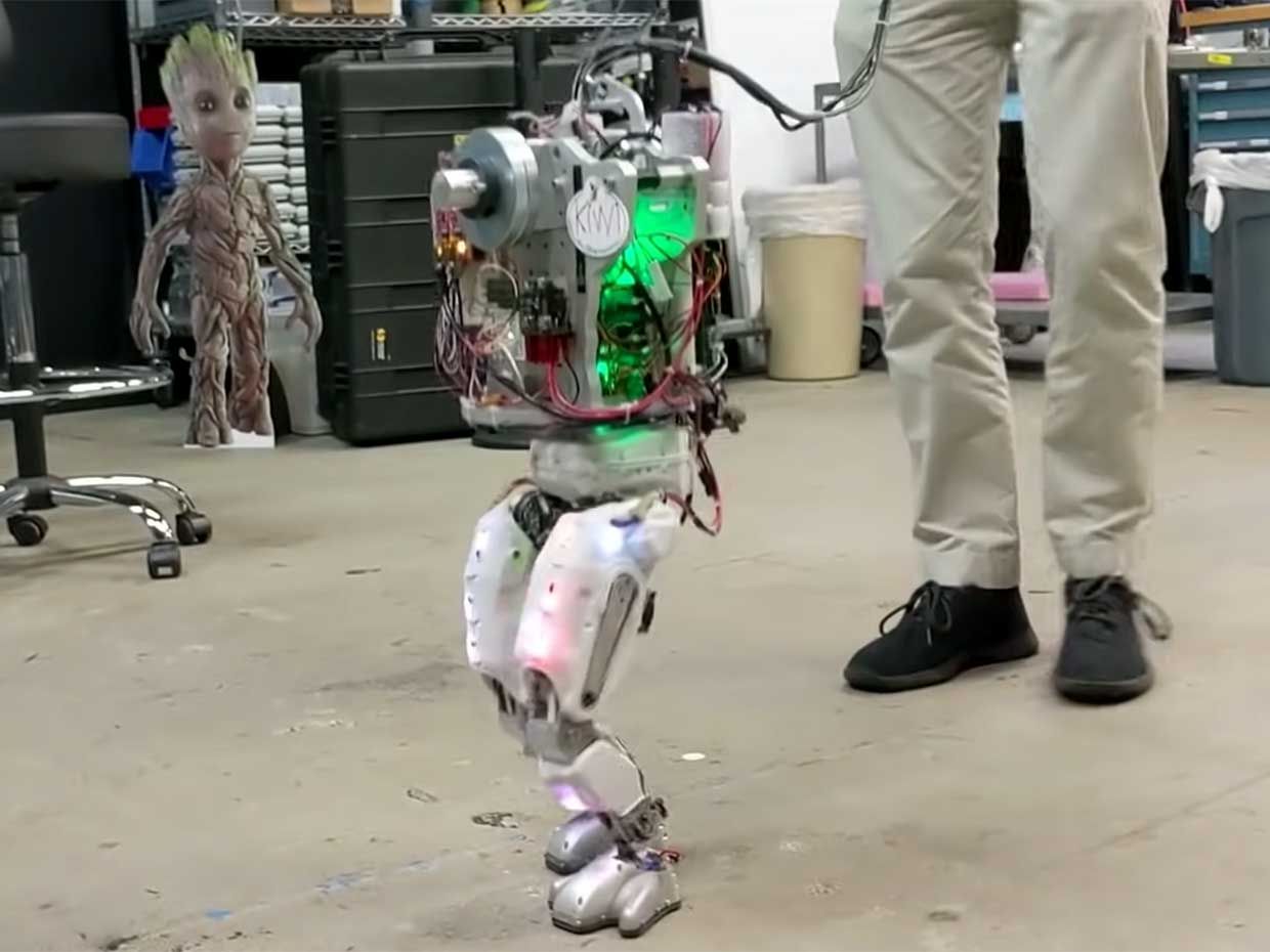 Project Kiwi is a custom bipedal human robot.