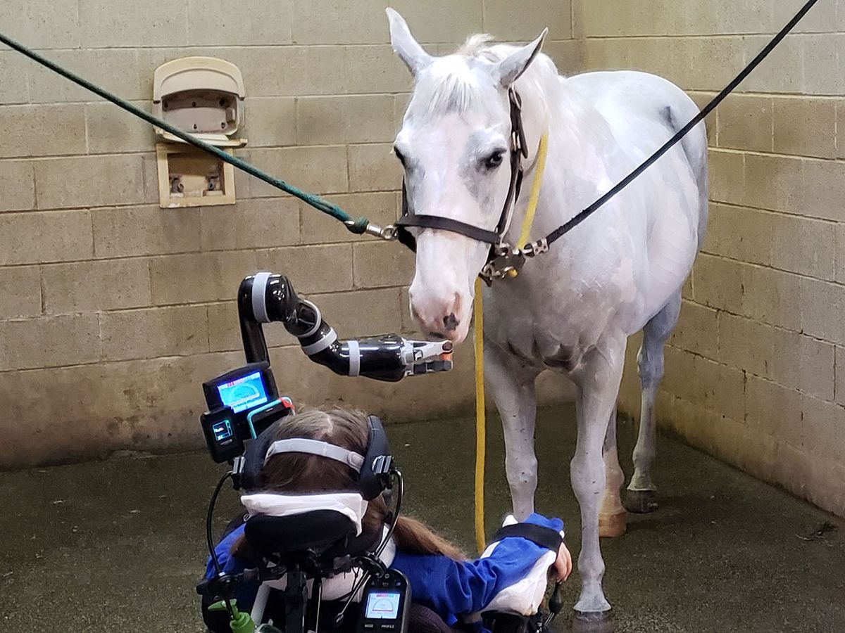 11 year old Mary Nelson uses the Kinova robot arm to work with a horse.