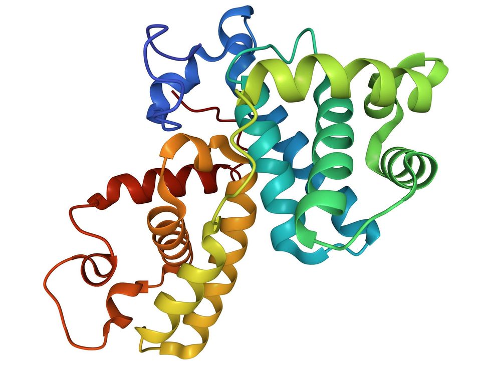 3d model of a protein