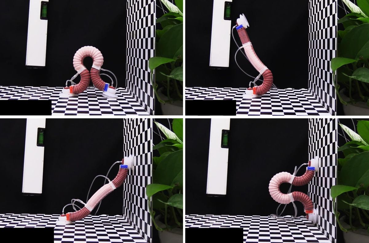 4 photos in a grid show a red and pink inchworm shaped robot move towards and then up a wall