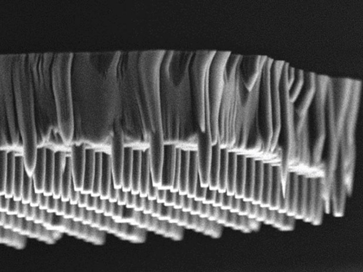 A black and white micrograph show protruding rows of closely spaced needle-like tips.