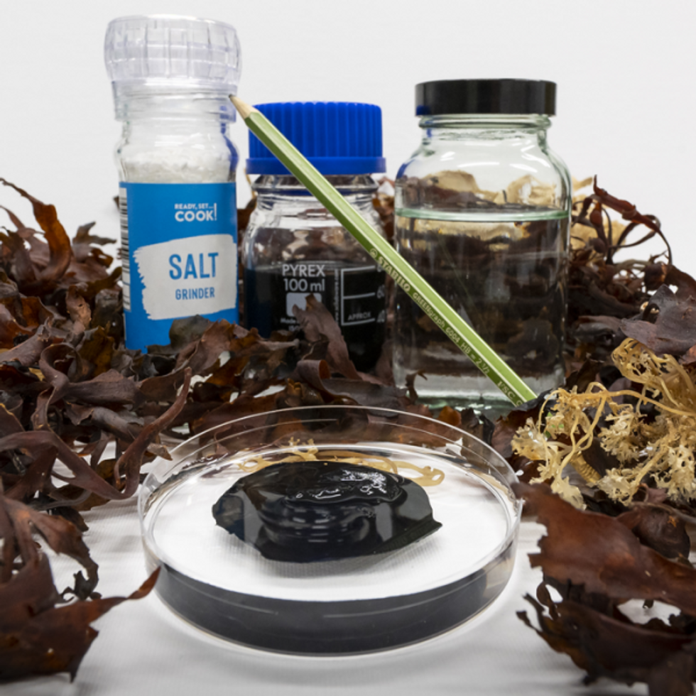 A black substance in a petri dish, surrounded by jars of salt and chemicals.