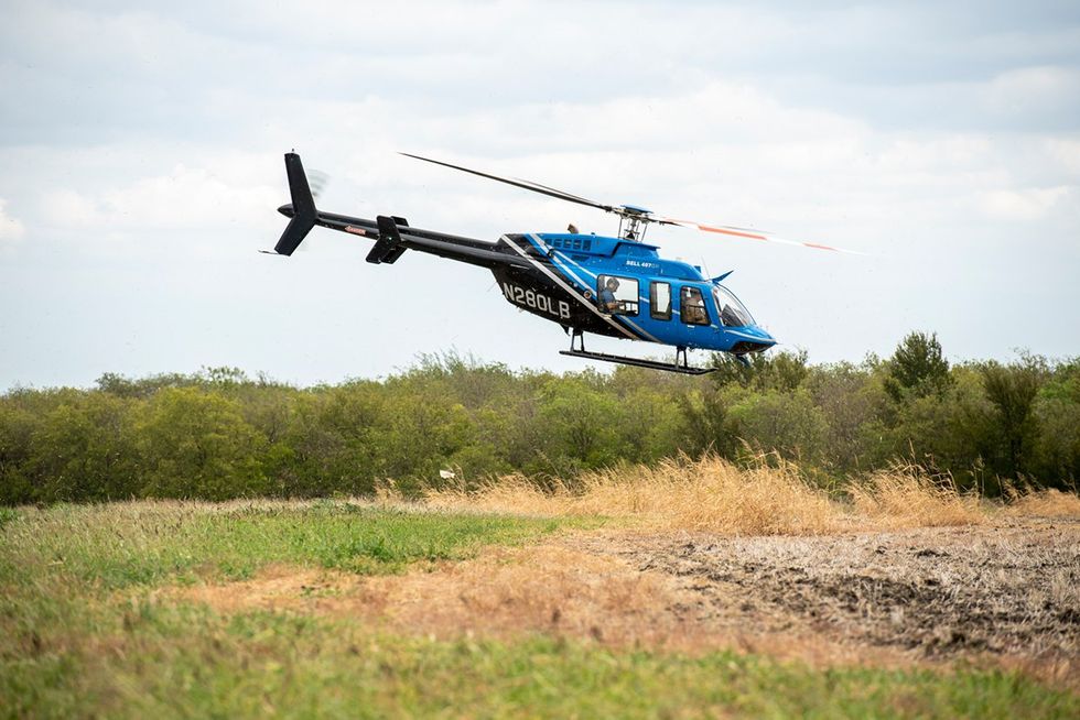 A blue and gray helicopter flies about 7 meters over a green field