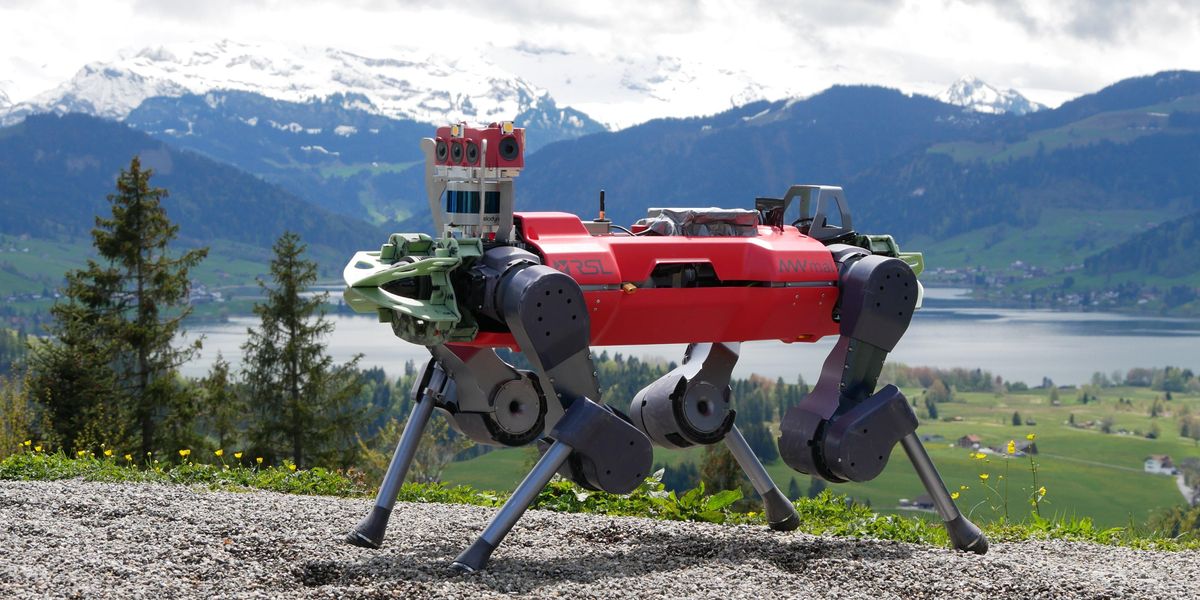 Legged Robots Learn to Hike Harsh Terrain