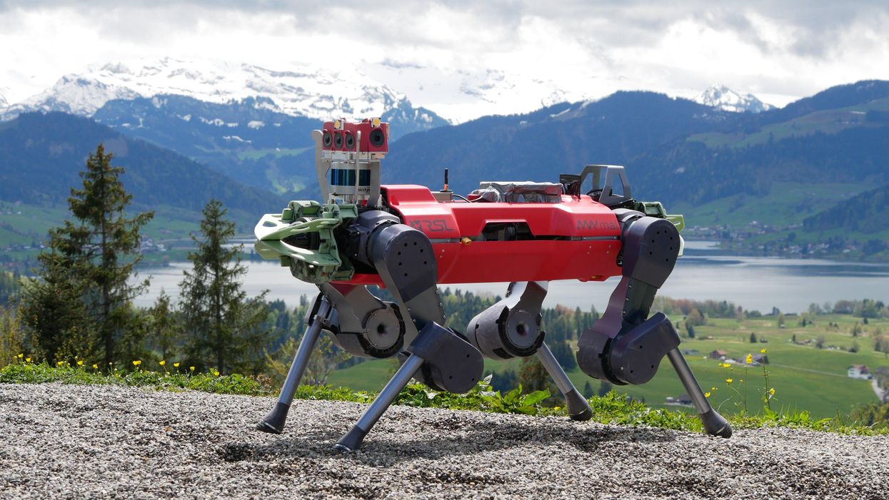 Legged Robots Learn to Hike Harsh Terrain