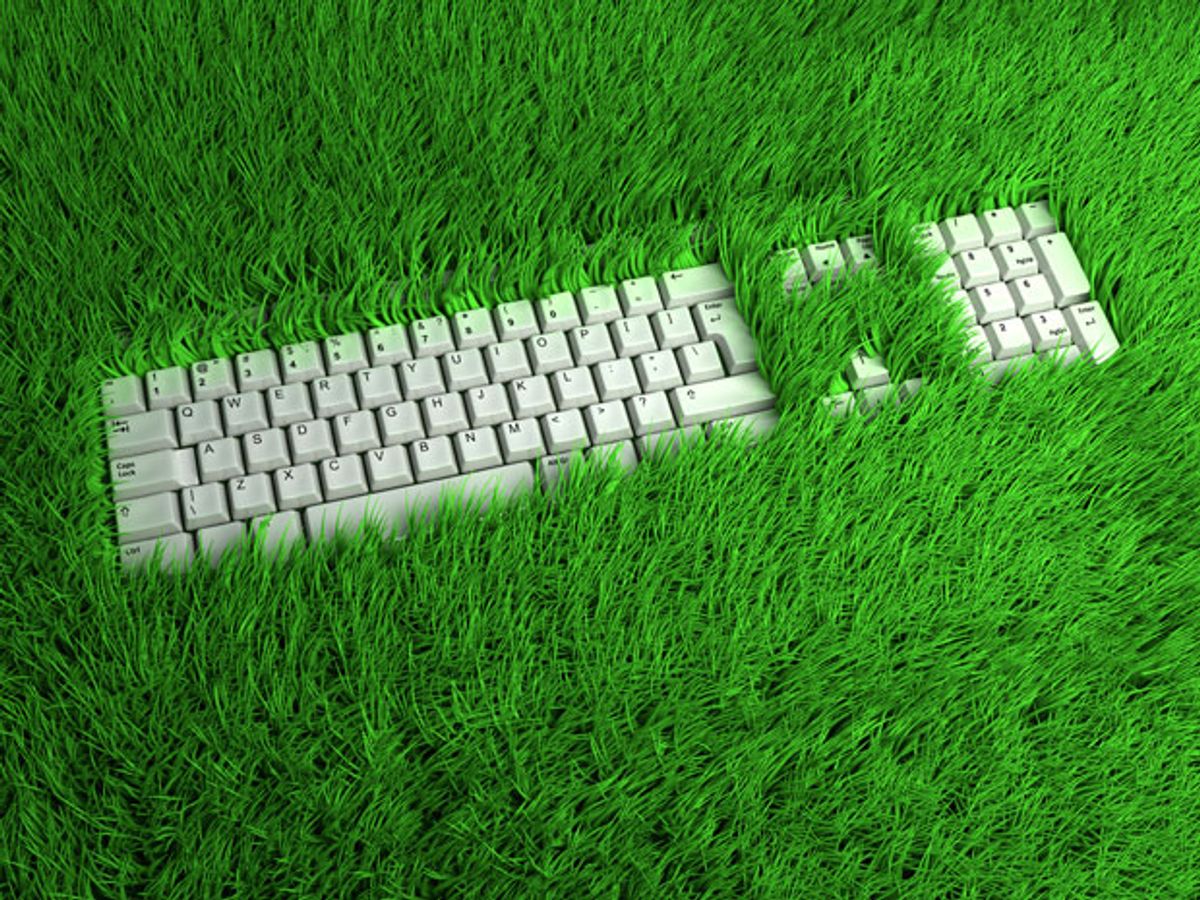 A computer keyboard laying in the grass. 