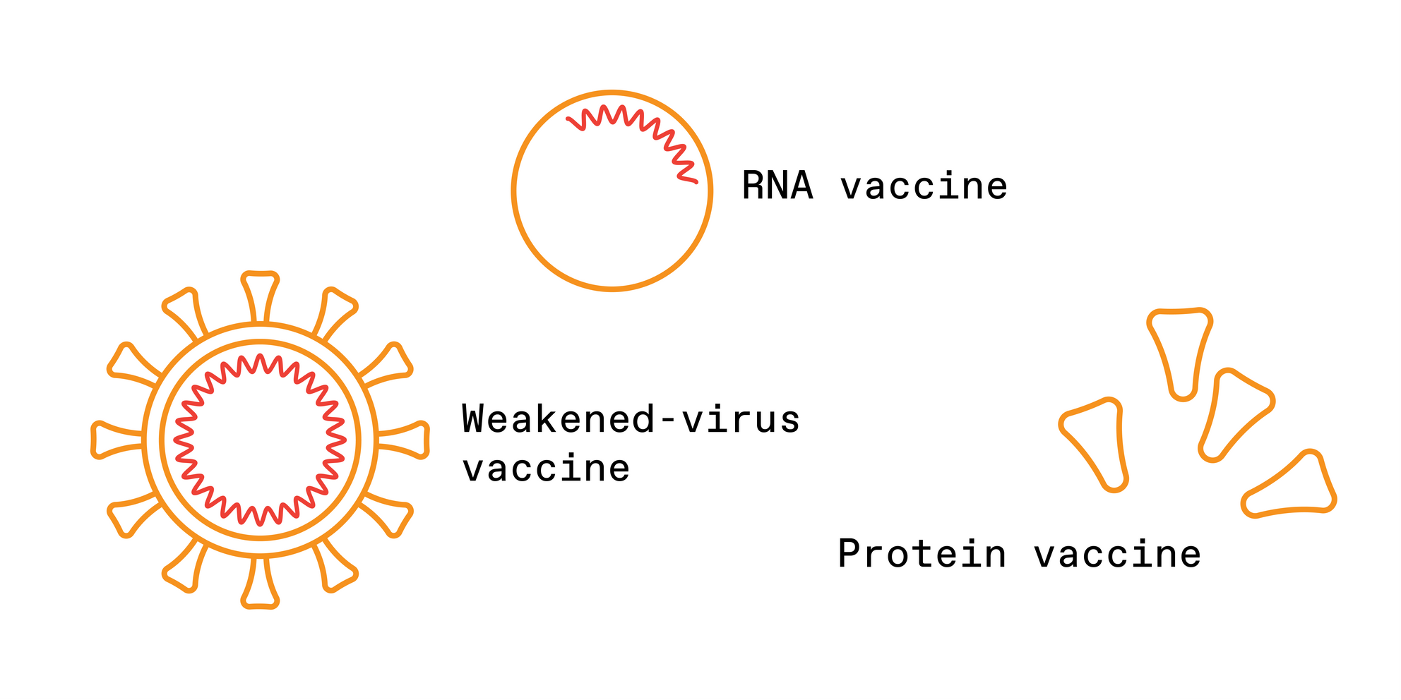 A diagram shows three objects: A spiky ball labeled "weakened-virus vaccine," a circle with a squiggly line inside of it labeled "RNA vaccine," and a few spikes labeled "protein vaccine."