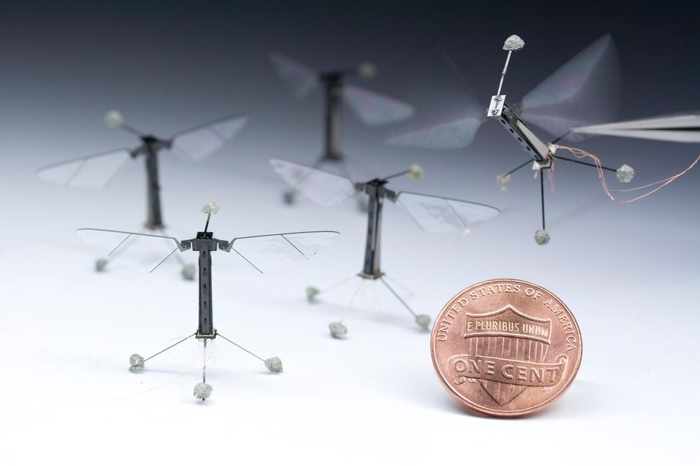 A flying robotic insect hovers over three other mechanical insects just like it. A U.S. one-cent coin is shown in the foreground for scale.