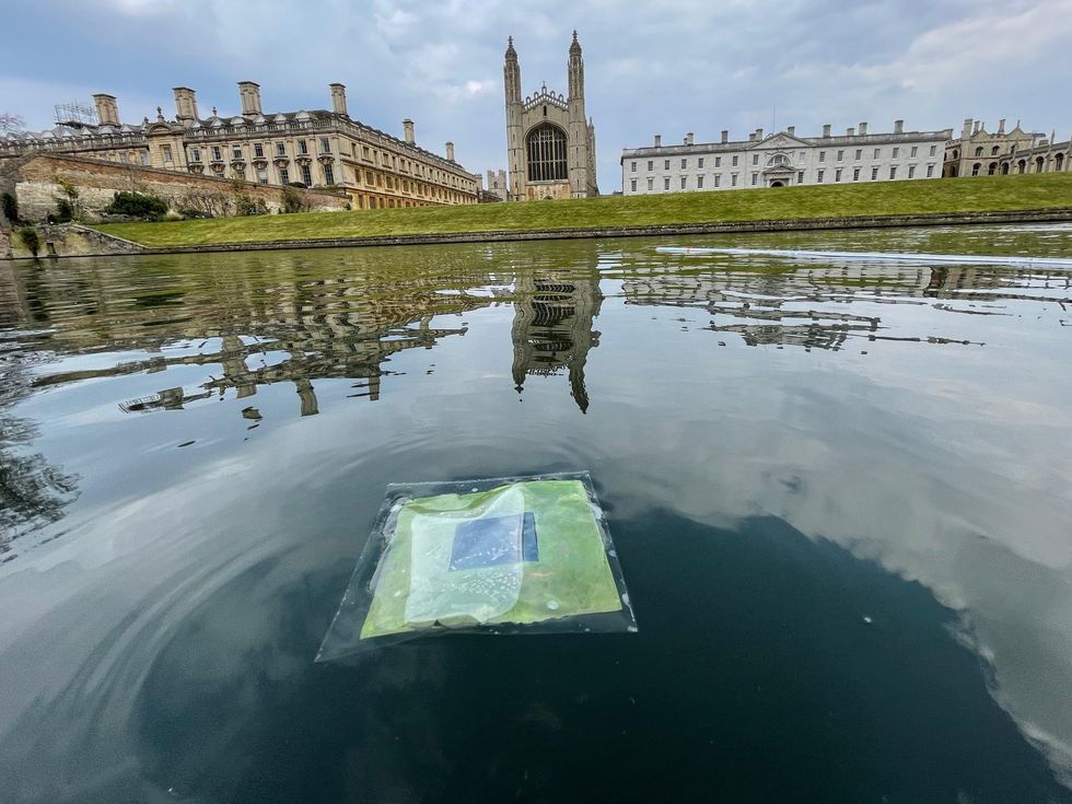 A green-and-blue device laminated in clear plastic floats on a river, with Cambridge University\u2019s Kings College in the background.