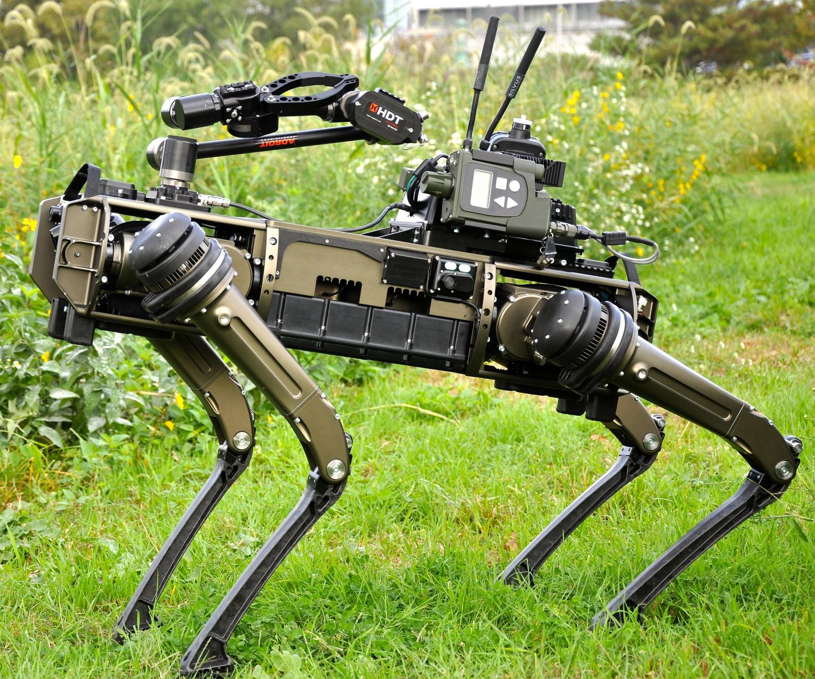 A green quadrupedal robot standing on grass with a robotic arm on its back