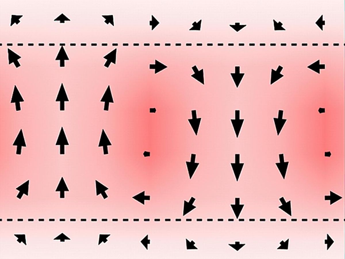 A grid of arrows pointing in different directions