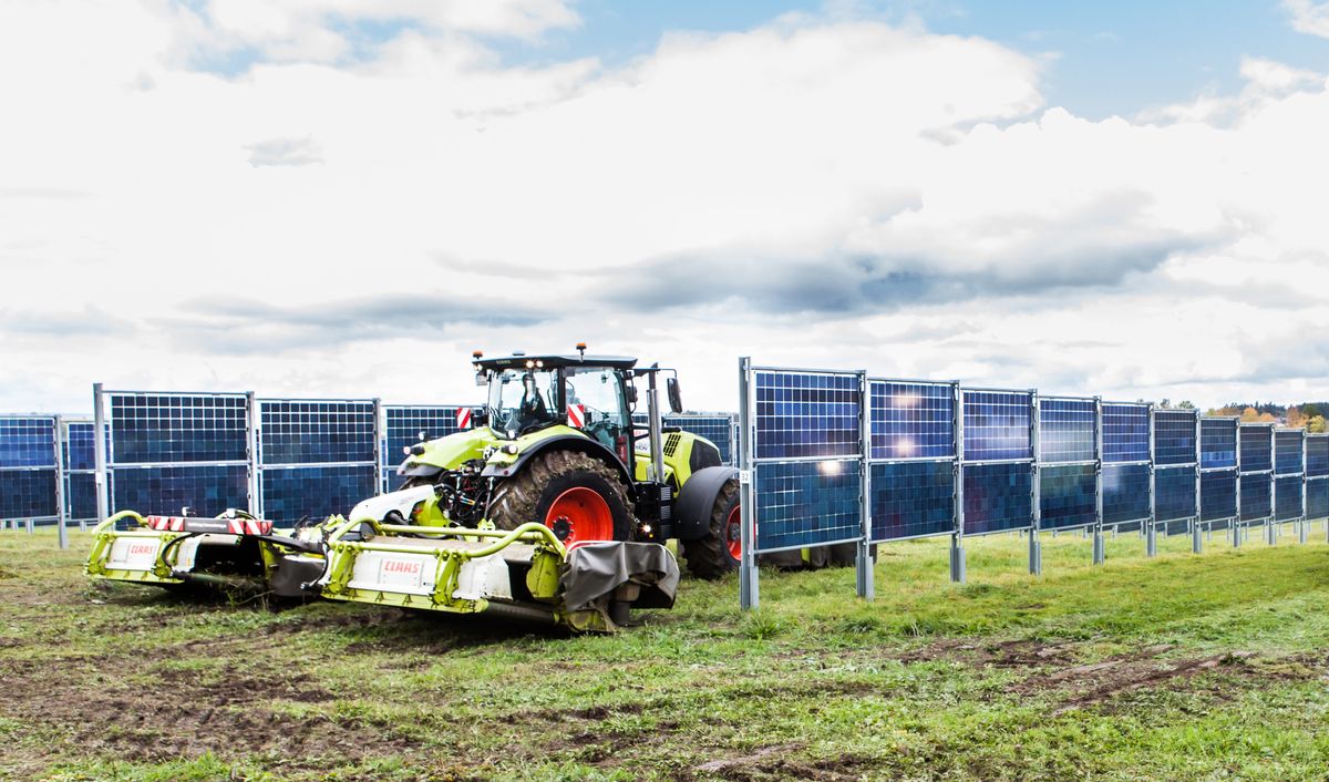 A large farm combine moves between rows of vertical solar panels.