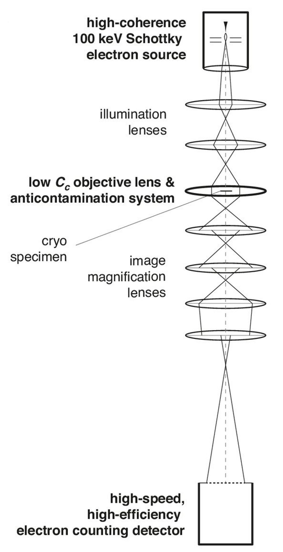A line drawing showing different components of the microscope.