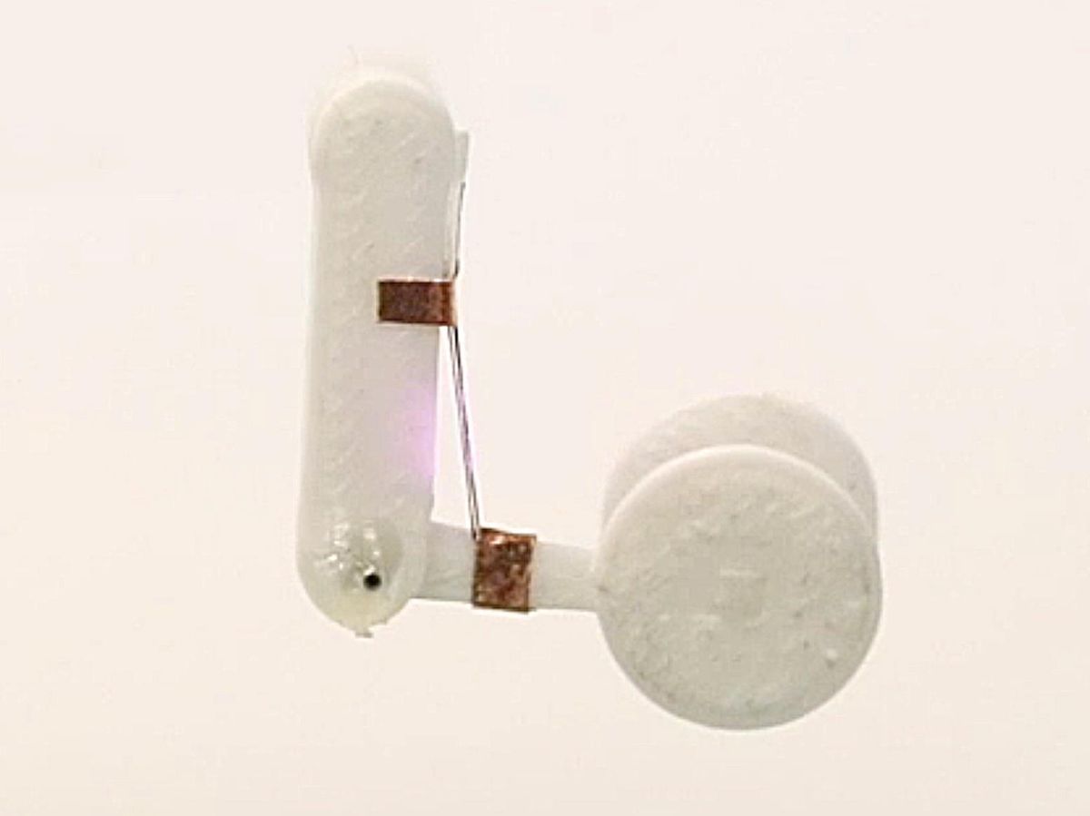 A long white vertical piece of plastic attached to a horizontal piece holds a barbel shape like an arm. Affixed to the vertical and horizontal parts are two copper colored squares, connected by thin black fibers.