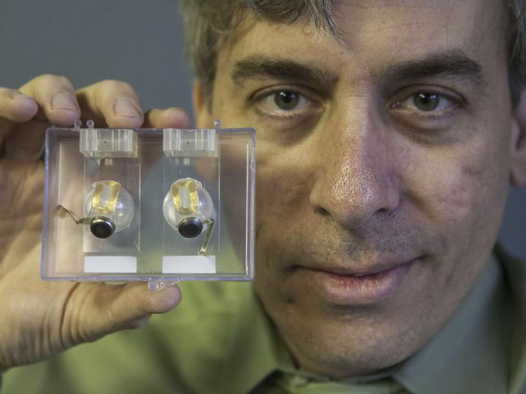 A man holds up a clear box with two clear orbs, each of which has a gold coil and a small circular metallic device attached.