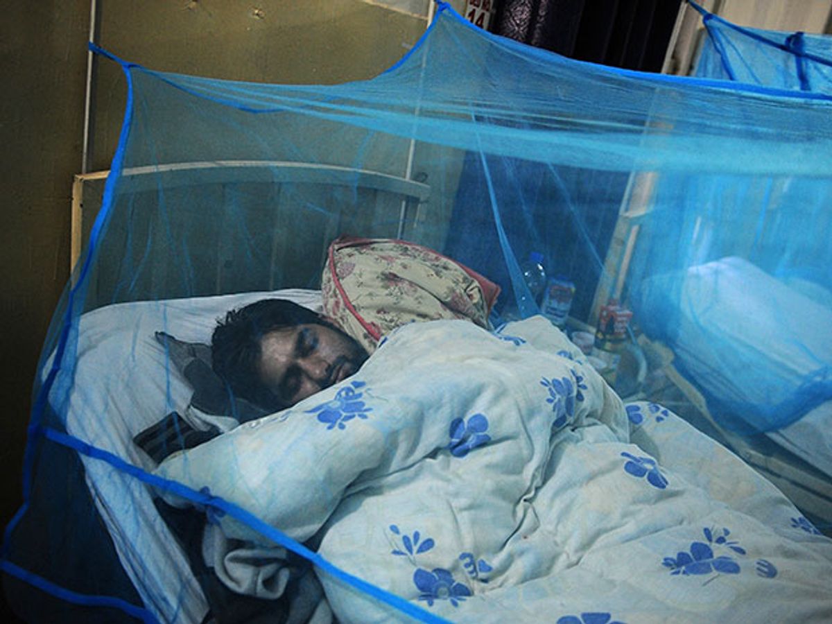 A man in bed under a mosquito net suffering from dengue fever