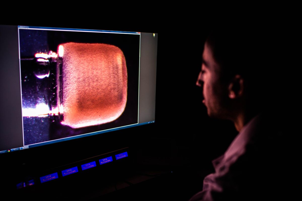 A man sits in the dark looking at a screen that shows a close-up of a orange-red and translucent object