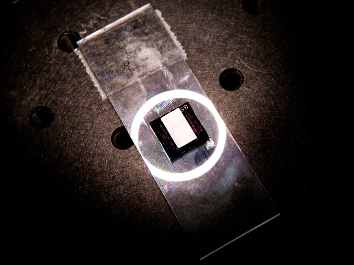 A microscope slide with a ring of light surrounding a black square surrounding a white rectangle.