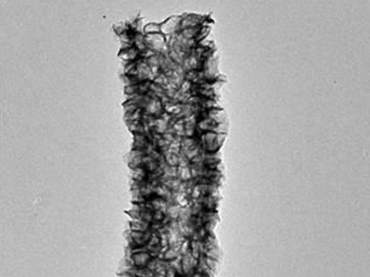 A molybdenum disulfide tube wired together with carbon nanotubes for use as an electrode in a lithium ion battery