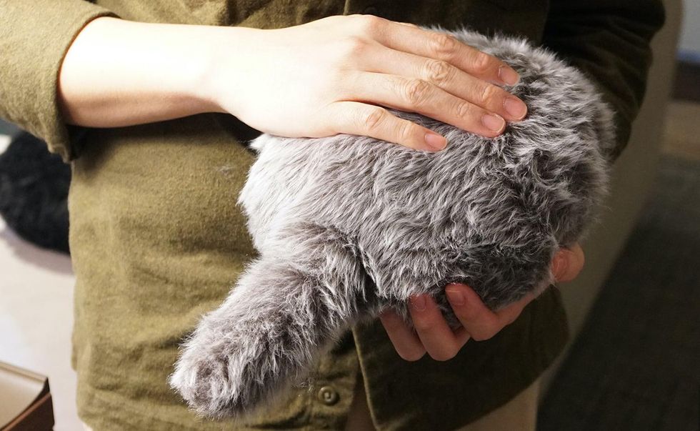 A person uses two hands to hold the Petit Qoobo, which has a ball-shaped gray furry body with a short tail.