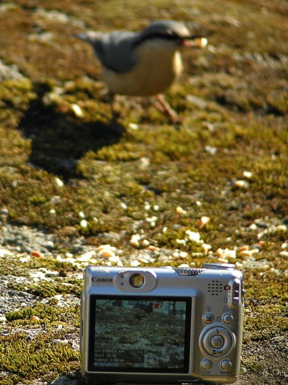 A photo of a digital camera outside.
