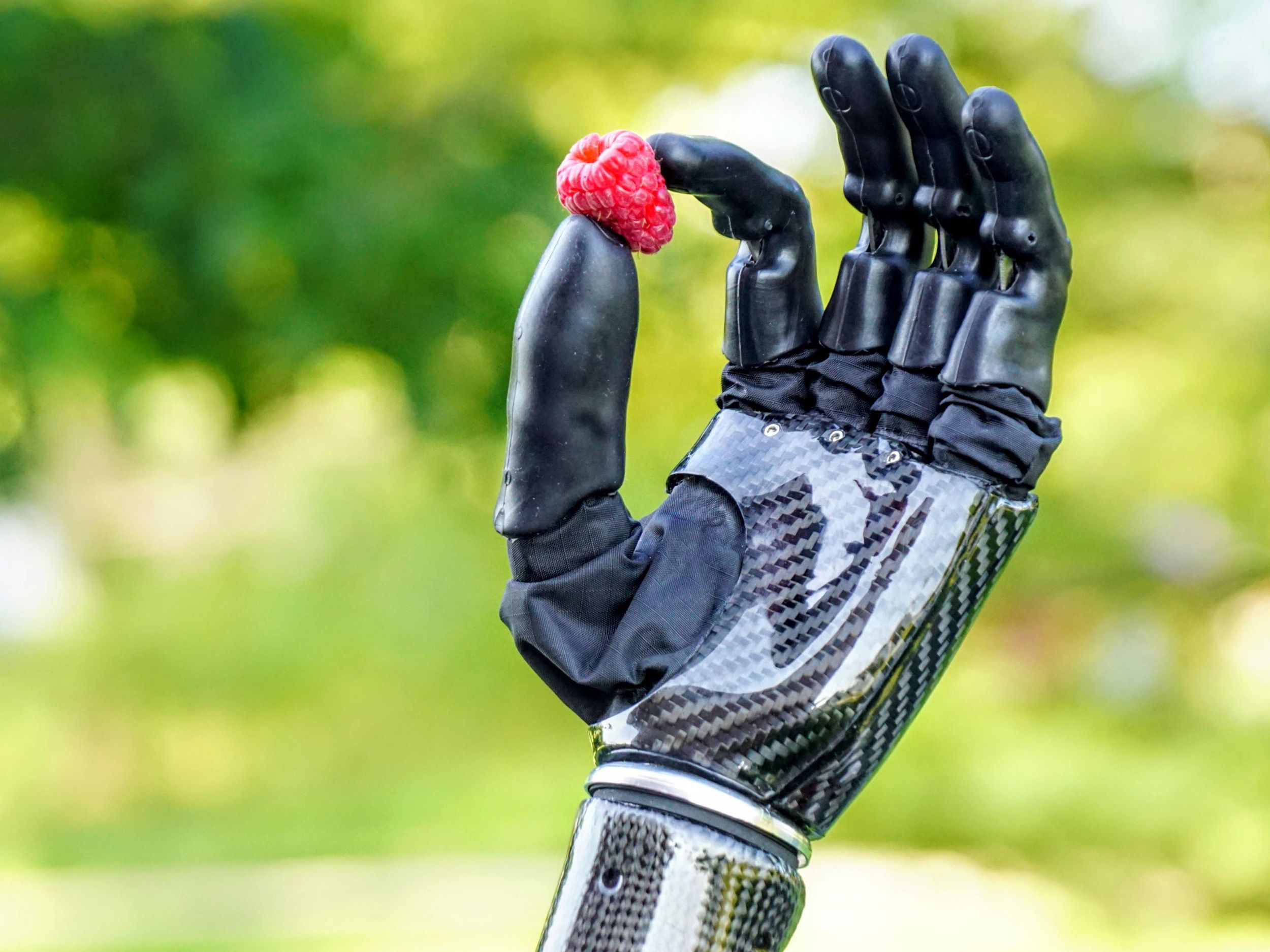 A photo of a prosthetic hand holding a raspberry in a it’s thumb and forefinger. 