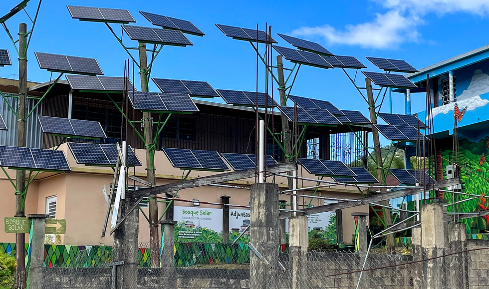 A photo of solar panels installed on tall treelike structures. 