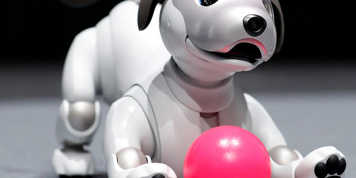 Sony Unleashes New Aibo Robot Dog