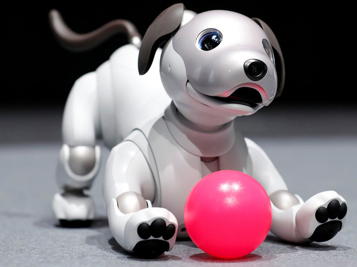 A photo of the new aibo robot dog from above.