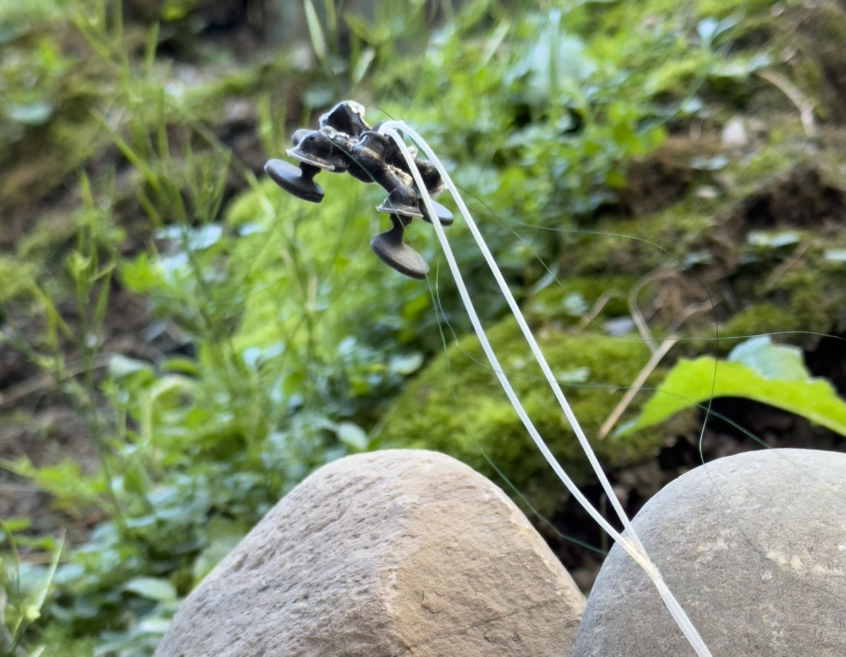 a photograph of a small black X-shaped robot suspended over two rocks, with plants in the background.