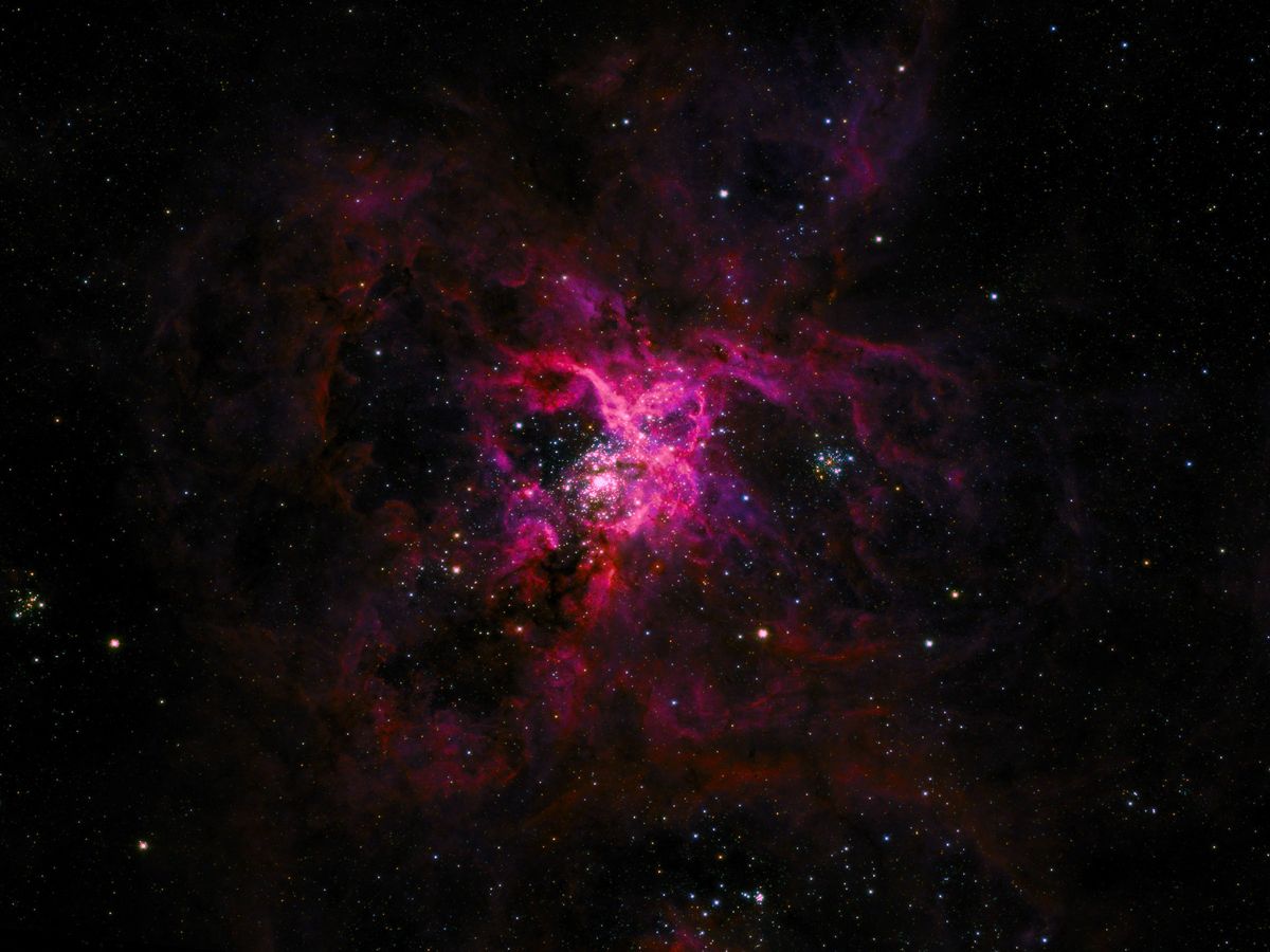 a pink cloud looking structure against a black background