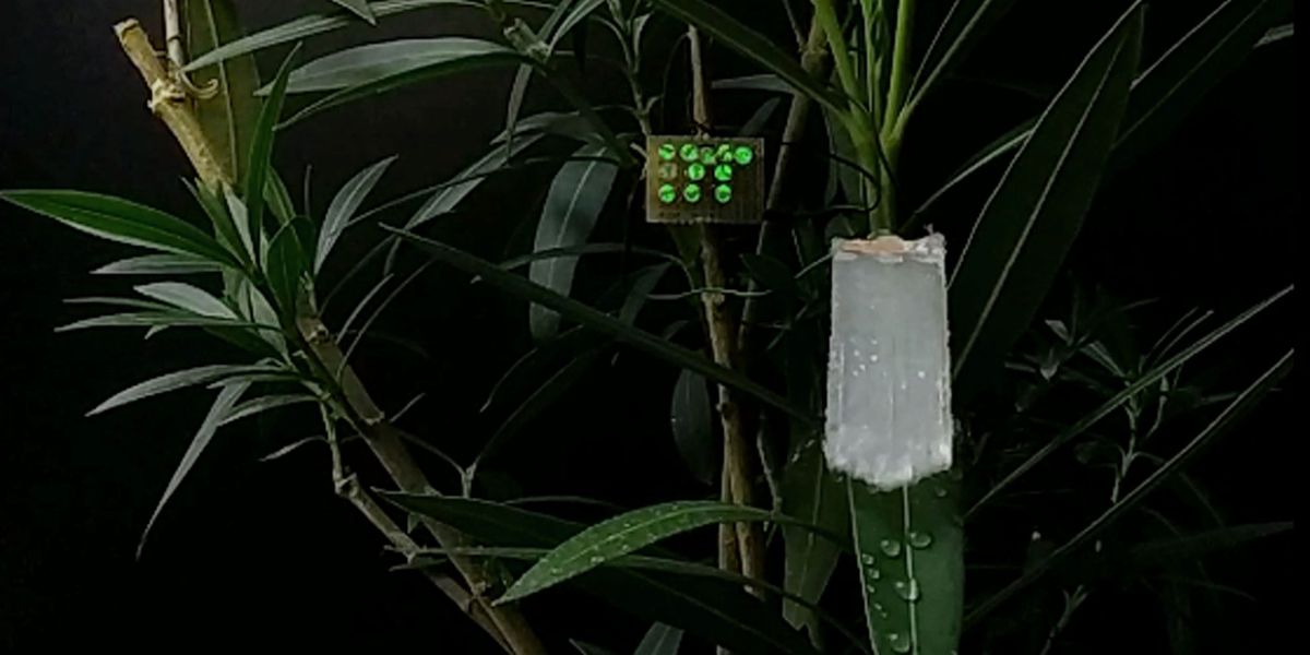 Artificial Leaf Draws Power From Wind and Raindrops