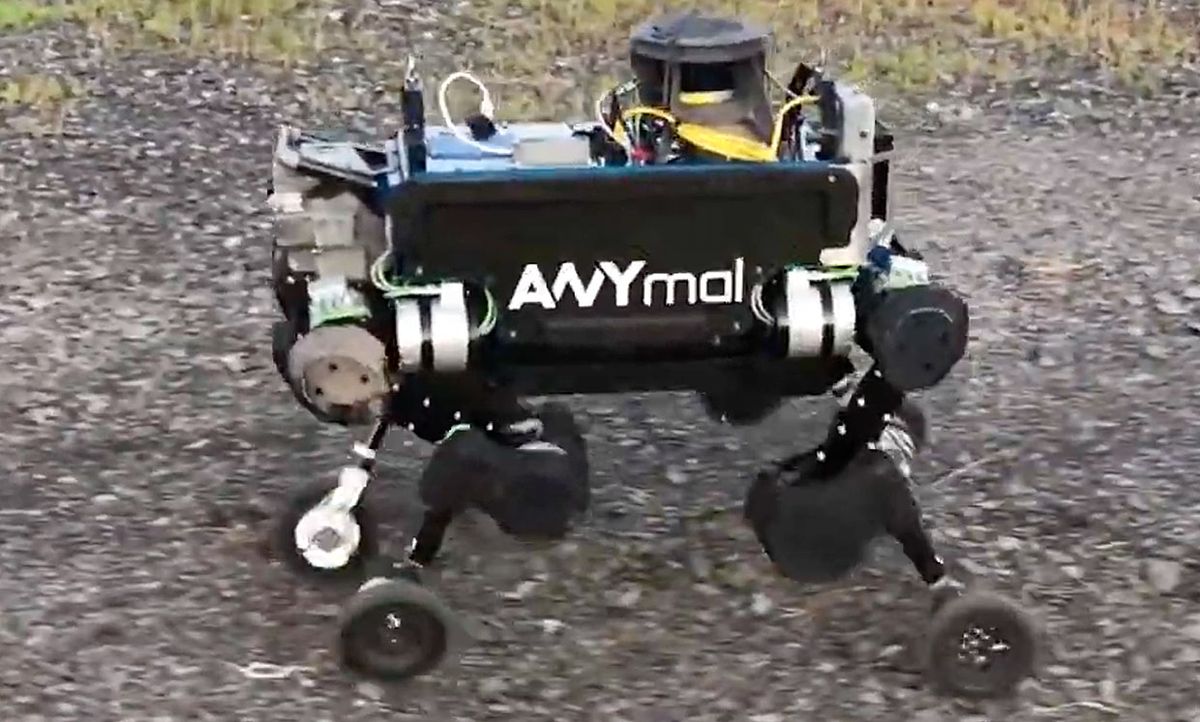 A quadruped robot with a barrel shaped body and wheels at the end of its articulated legs.