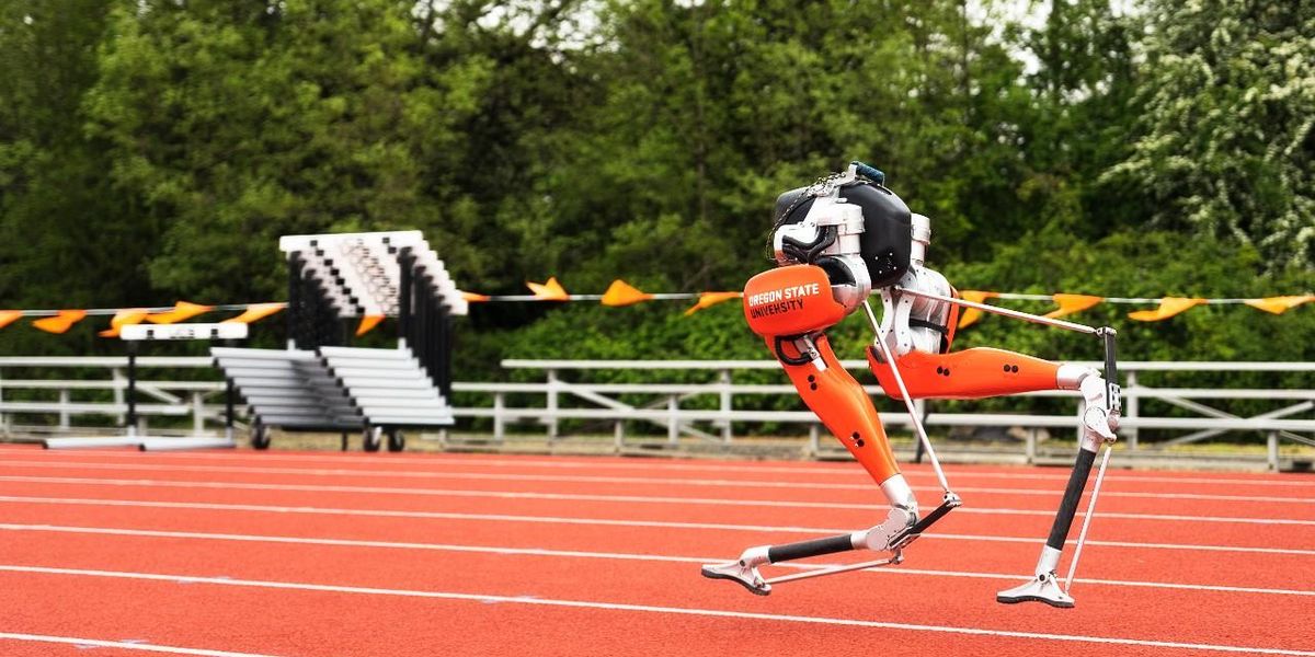 Robo-Ostrich Sprints to 100-meter World Record