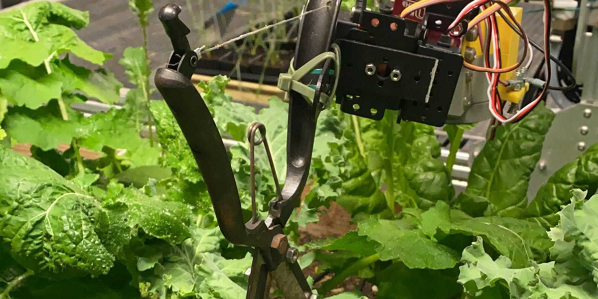 Le robot réussit le test de Turing pour le jardinage en polyculture