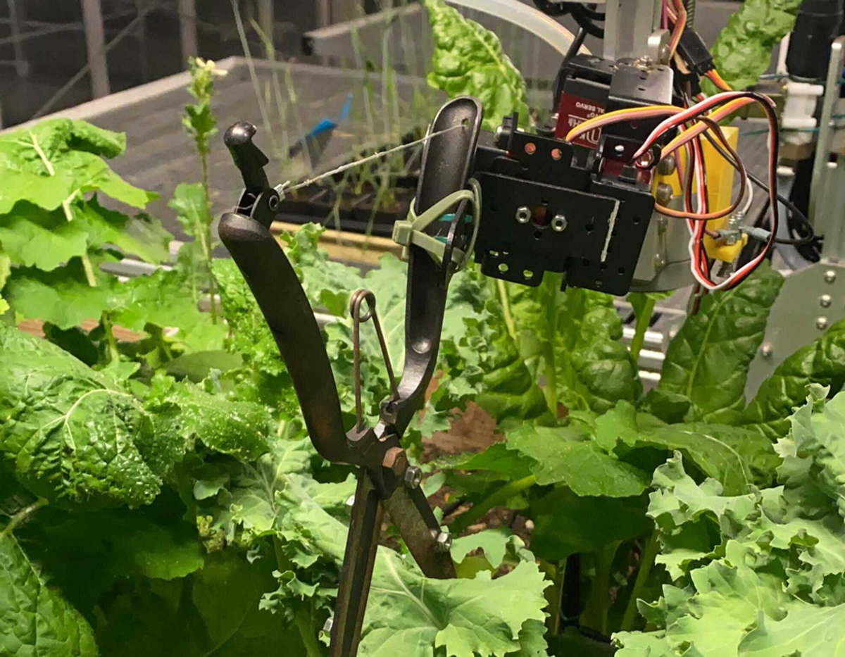 A robotic servo on a gantry zip-tied to a pair of pruning shears hovers above a lush green garden plot.